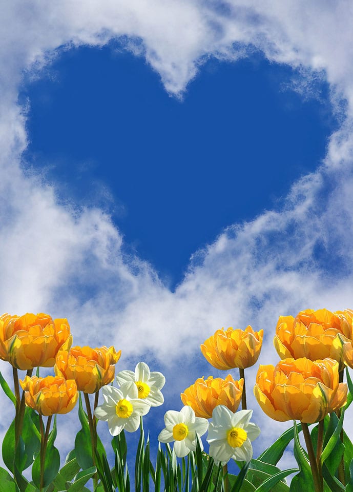 Motivet är ett hjärta på himlen som är bildad av moln. Nedanför finns gula och vita tulpaner.